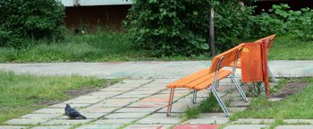 Ziepniekkalns – vieta ar raksturu un lojāliem iemītniekiem